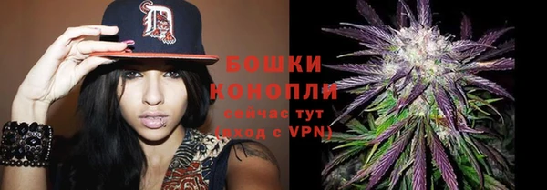 мяу мяу мука Абаза