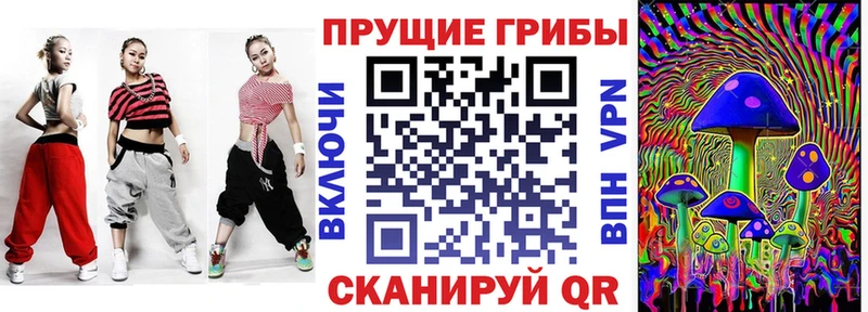 наркотики  Алатырь  Псилоцибиновые грибы Psilocybe 