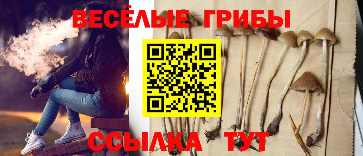 Псилоцибиновые грибы прущие грибы Алатырь